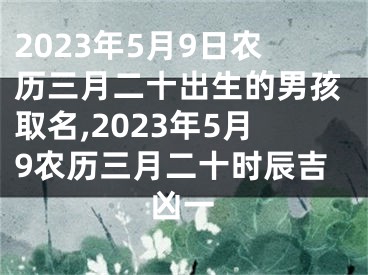 2023年5月9日农历三月二十出生的男孩取名,2023年5月9农历三月二十时辰吉凶一