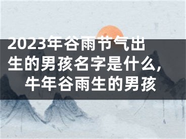 2023年谷雨节气出生的男孩名字是什么,牛年谷雨生的男孩