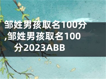 邹姓男孩取名100分,邹姓男孩取名100分2023ABB