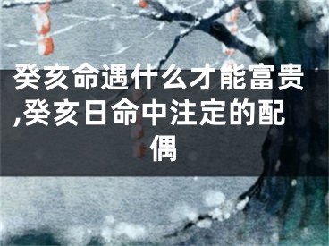 癸亥命遇什么才能富贵,癸亥日命中注定的配偶