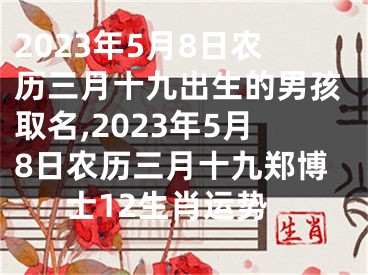 2023年5月8日农历三月十九出生的男孩取名,2023年5月8日农历三月十九郑博士12生肖运势