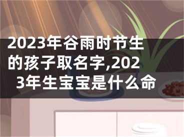 2023年谷雨时节生的孩子取名字,2023年生宝宝是什么命