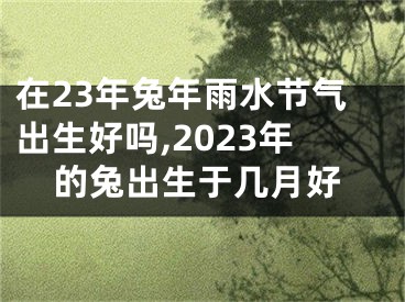 在23年兔年雨水节气出生好吗,2023年的兔出生于几月好