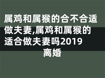 属鸡和属猴的合不合适做夫妻,属鸡和属猴的适合做夫妻吗2019离婚