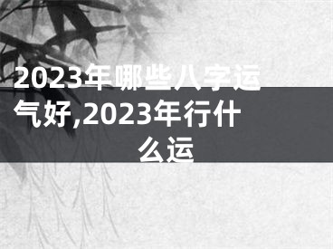 2023年哪些八字运气好,2023年行什么运