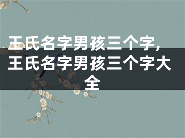 王氏名字男孩三个字,王氏名字男孩三个字大全