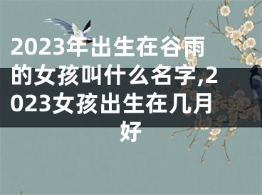 2023年出生在谷雨的女孩叫什么名字,2023女孩出生在几月好