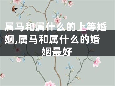 属马和属什么的上等婚姻,属马和属什么的婚姻最好