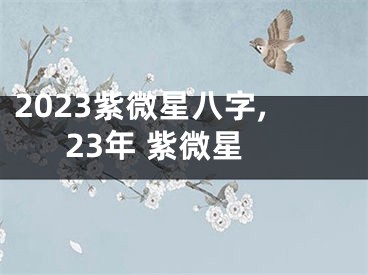 2023紫微星八字,23年 紫微星