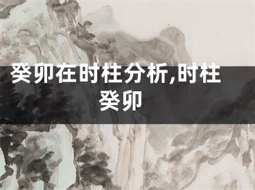 癸卯在时柱分析,时柱 癸卯