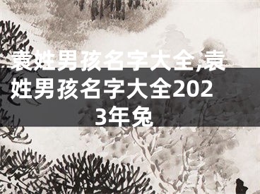 袁姓男孩名字大全,袁姓男孩名字大全2023年兔