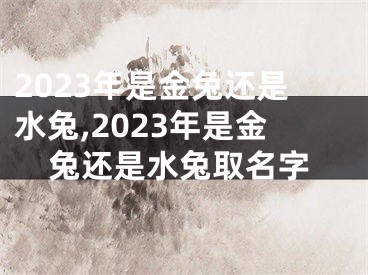 2023年是金兔还是水兔,2023年是金兔还是水兔取名字