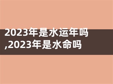 2023年是水运年吗,2023年是水命吗