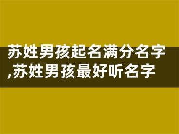 苏姓男孩起名满分名字,苏姓男孩最好听名字