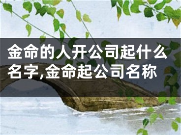 金命的人开公司起什么名字,金命起公司名称