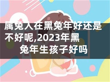 属兔人在黑兔年好还是不好呢,2023年黑兔年生孩子好吗