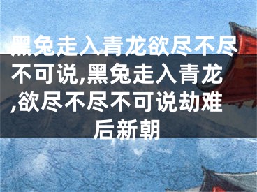 黑兔走入青龙欲尽不尽不可说,黑兔走入青龙,欲尽不尽不可说劫难后新朝