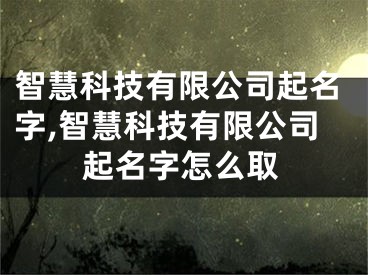 智慧科技有限公司起名字,智慧科技有限公司起名字怎么取