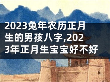 2023兔年农历正月生的男孩八字,2023年正月生宝宝好不好