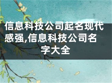 信息科技公司起名现代感强,信息科技公司名字大全