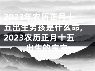 2023年农历正月十五出生男孩是什么命,2023农历正月十五出生的宝宝