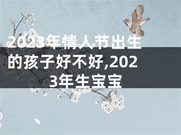 2023年情人节出生的孩子好不好,2023年生宝宝