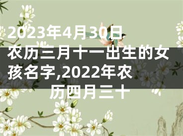 2023年4月30日农历三月十一出生的女孩名字,2022年农历四月三十