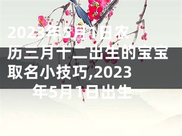 2023年5月1日农历三月十二出生的宝宝取名小技巧,2023年5月1日出生