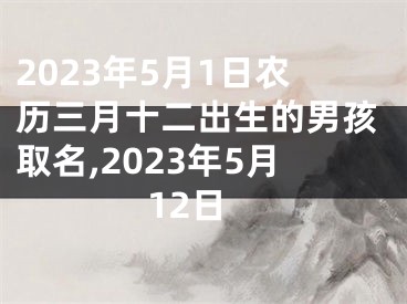 2023年5月1日农历三月十二出生的男孩取名,2023年5月12日