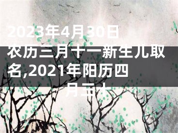 2023年4月30日农历三月十一新生儿取名,2021年阳历四月三十