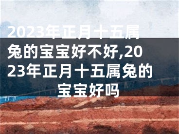 2023年正月十五属兔的宝宝好不好,2023年正月十五属兔的宝宝好吗