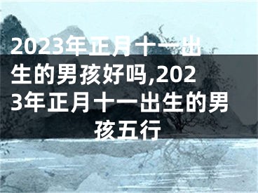 2023年正月十一出生的男孩好吗,2023年正月十一出生的男孩五行