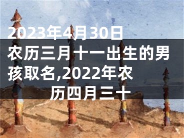 2023年4月30日农历三月十一出生的男孩取名,2022年农历四月三十