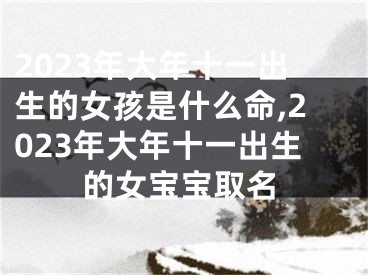 2023年大年十一出生的女孩是什么命,2023年大年十一出生的女宝宝取名