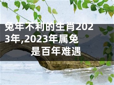 兔年不利的生肖2023年,2023年属兔是百年难遇