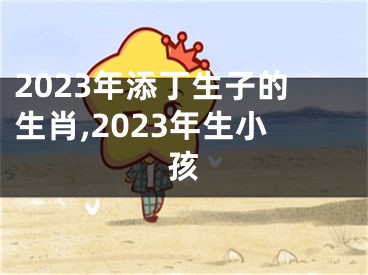 2023年添丁生子的生肖,2023年生小孩