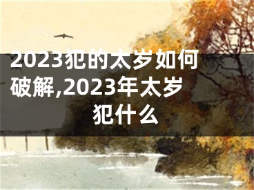 2023犯的太岁如何破解,2023年太岁犯什么