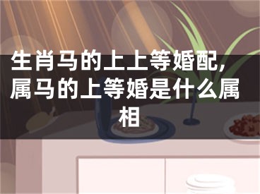 生肖马的上上等婚配,属马的上等婚是什么属相