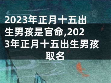 2023年正月十五出生男孩是官命,2023年正月十五出生男孩取名