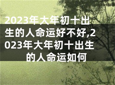 2023年大年初十出生的人命运好不好,2023年大年初十出生的人命运如何