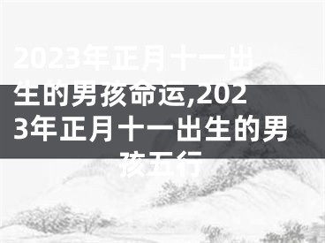 2023年正月十一出生的男孩命运,2023年正月十一出生的男孩五行