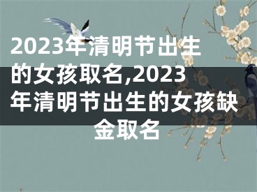 2023年清明节出生的女孩取名,2023年清明节出生的女孩缺金取名