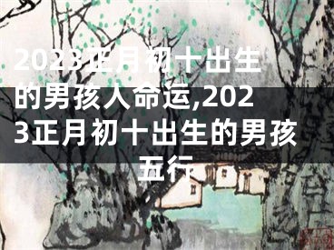 2023正月初十出生的男孩人命运,2023正月初十出生的男孩五行