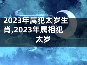 2023年属犯太岁生肖,2023年属相犯太岁