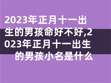 2023年正月十一出生的男孩命好不好,2023年正月十一出生的男孩小名是什么