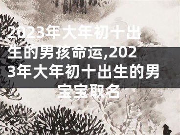 2023年大年初十出生的男孩命运,2023年大年初十出生的男宝宝取名