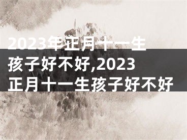 2023年正月十一生孩子好不好,2023正月十一生孩子好不好