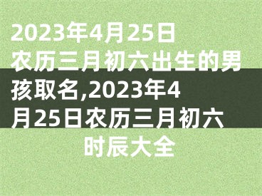 2023年4月25日农历三月初六出生的男孩取名,2023年4月25日农历三月初六时辰大全