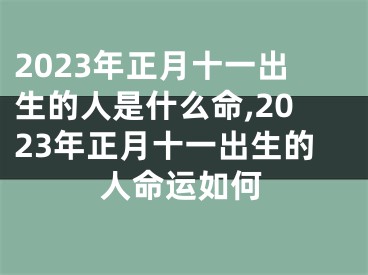 2023年正月十一出生的人是什么命,2023年正月十一出生的人命运如何