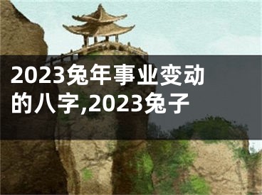 2023兔年事业变动的八字,2023兔子